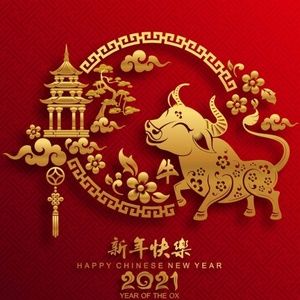 Meet your Posher, Kitty